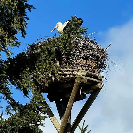 Stara Szkolas7 Noclegi,mzajezierze 8 14-330 Mazury *