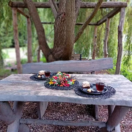 Stara Szkola S7 Mazury, Zajezierze 8 14-330 Homestay *