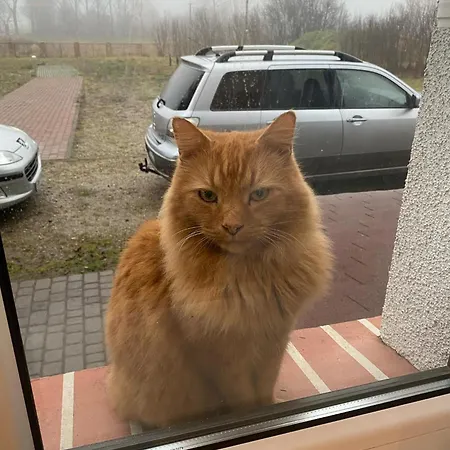 Homestay Stara Szkola S7 Mazury, Zajezierze 8 14-330 *