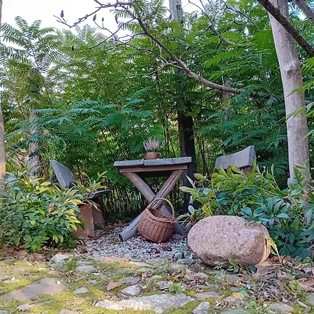 Stara Szkola S7 Mazury, Zajezierze 8 14-330 Homestay