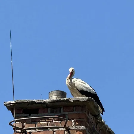 Stara Szkola S7 Mazury, Zajezierze 8 14-330 Homestay *