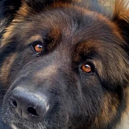 Stara Szkola S7 Mazury, Zajezierze 8 14-330 Homestay Maldyty