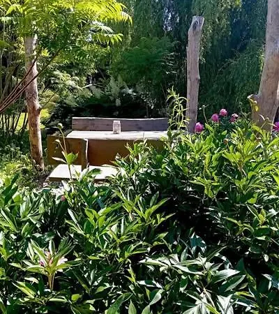 Stara Szkola S7 Mazury, Zajezierze 8 14-330 Maldyty