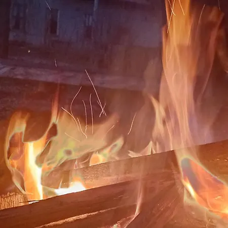 Stara Szkola S7 Mazury, Zajezierze 8 14-330 * Maldyty