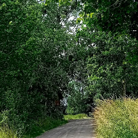 Stara Szkola S7 Mazury, Zajezierze 8 14-330 *