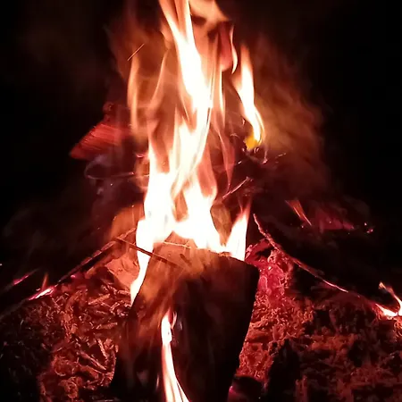 Stara Szkola S7 Mazury, Zajezierze 8 14-330 Maldyty