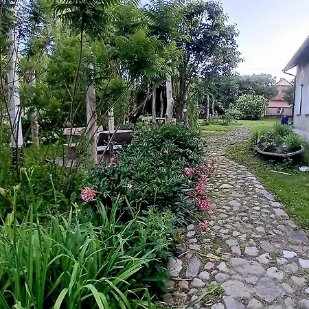 Stara Szkola S7 Mazury, Zajezierze 8 14-330