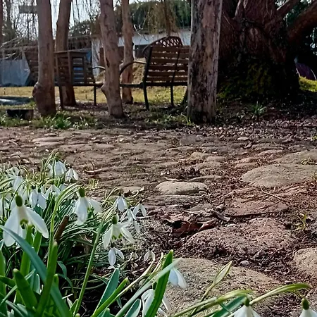 Stara Szkola S7 Mazury, Zajezierze 8 14-330 Homestay