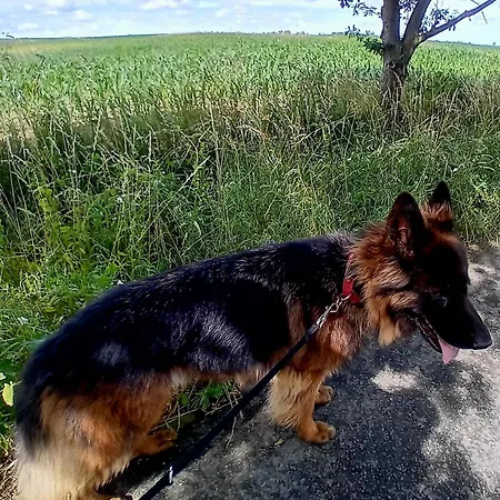 Homestay Stara Szkola S7 Mazury, Zajezierze 8 14-330