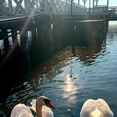 Homestay Stara Szkola S7 Mazury, Zajezierze 8 14-330 *