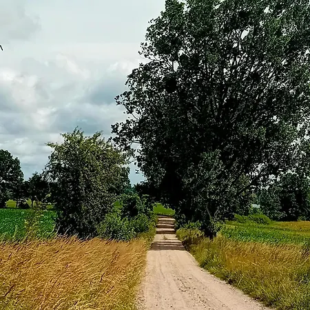 Stara Szkola S7 Mazury, Zajezierze 8 14-330 * Maldyty